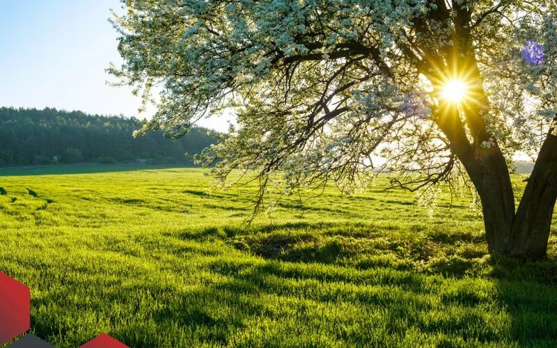 İnegöl Satılık Arsa ve Tarla - Yatırım Arazileri