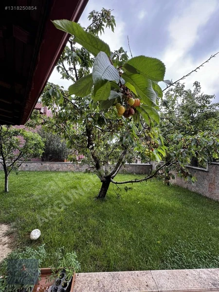 AKGÜN'DEN SATILIK ALANYURT DORUK SİTESİNDE 280M2 5+1 VİLLA !! Fotoğraf 33